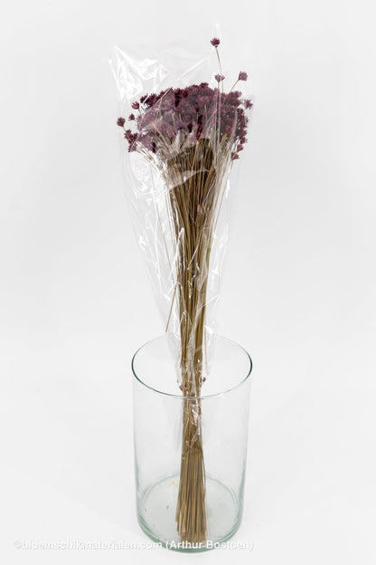 HILL FLOWER FRAMBOOS +/ - 150GR - bloemschikmaterialen.com