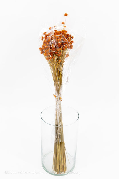 HILL FLOWER ORANJE (ABRIKOOS) +/ - 150GR - bloemschikmaterialen.com