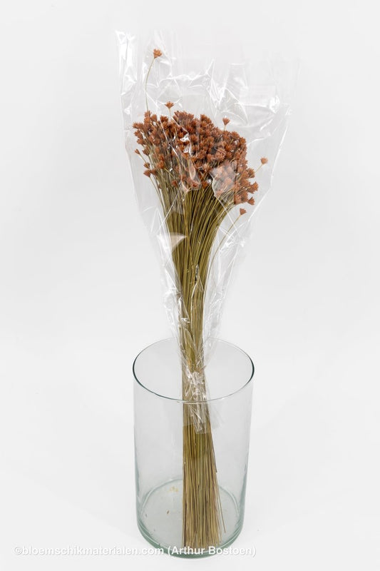 HILL FLOWER OUDROZE +/ - 150GR - bloemschikmaterialen.com