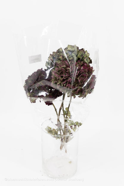 HORTENSIA NATUREL 3ST - bloemschikmaterialen.com