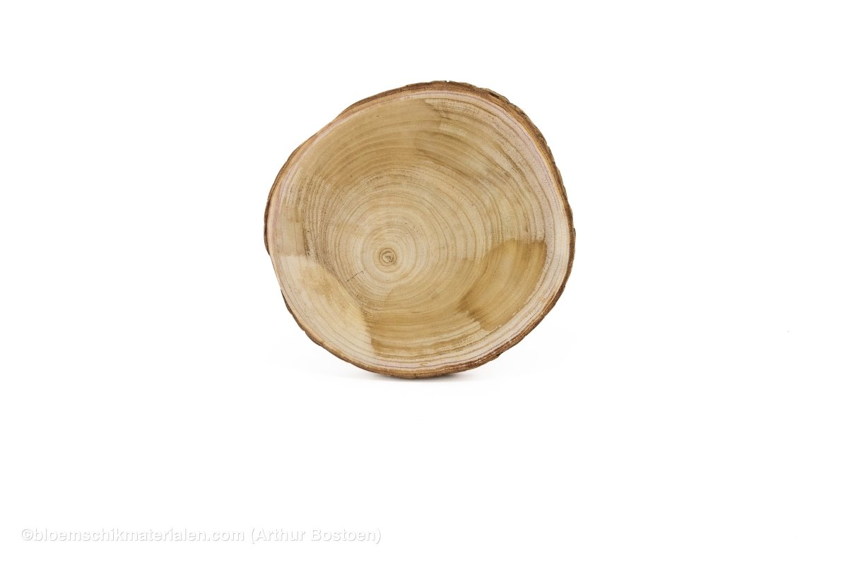 HOUTSCHIJF PAULOWNIA D30 H3CM NATUREL - bloemschikmaterialen.com