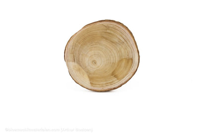 HOUTSCHIJF PAULOWNIA D30 H3CM NATUREL - bloemschikmaterialen.com