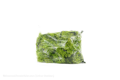 IJSLANDS MOS APPELGROEN +/ - 450GR - bloemschikmaterialen.com