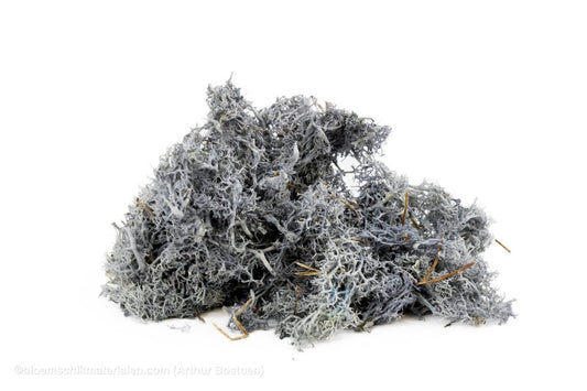 IJSLANDS MOS GRIJS +/ - 450GR - bloemschikmaterialen.com