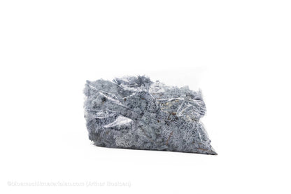 IJSLANDS MOS GRIJS +/ - 450GR - bloemschikmaterialen.com