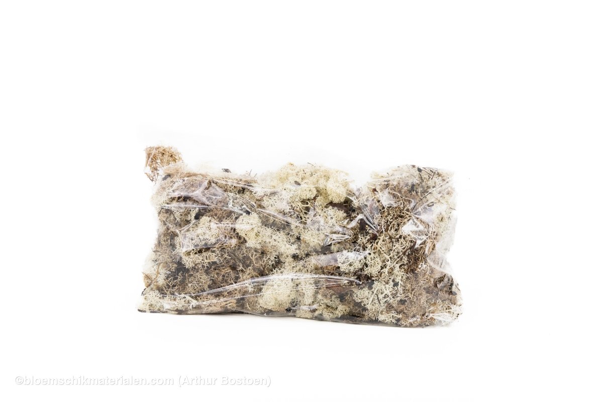 IJSLANDS MOS NATUREL +/ - 450GR - bloemschikmaterialen.com
