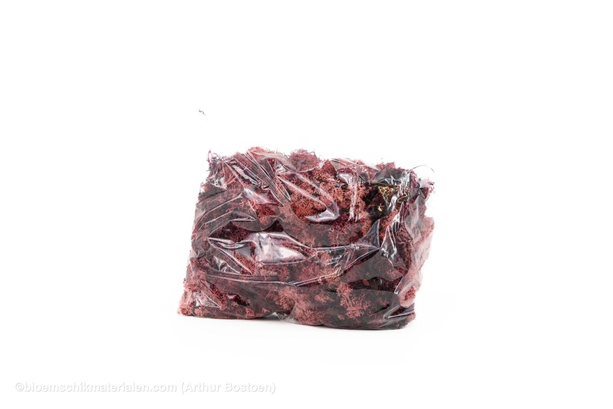 IJSLANDS MOS POEDERROOS +/ - 450GR - bloemschikmaterialen.com