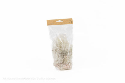 IJSLANDS MOS WIT +/ - 50GR - bloemschikmaterialen.com