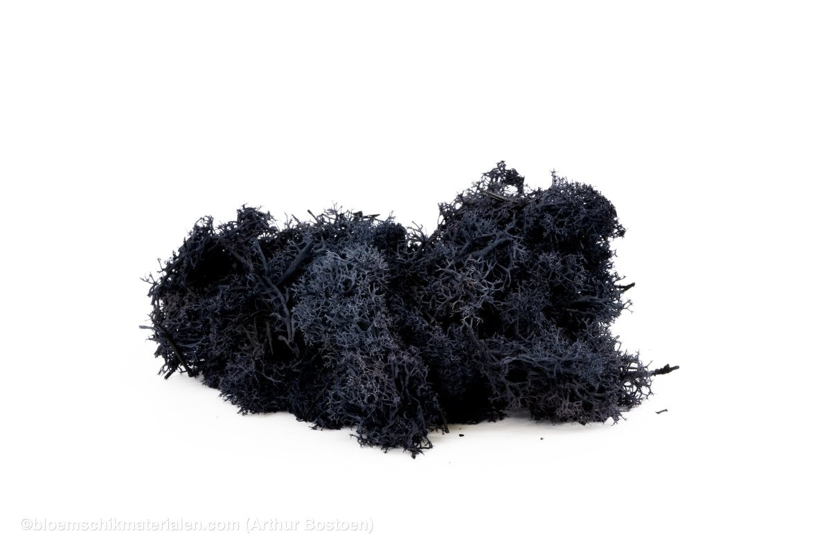 IJSLANDS MOS ZWART +/ - 450GR - bloemschikmaterialen.com