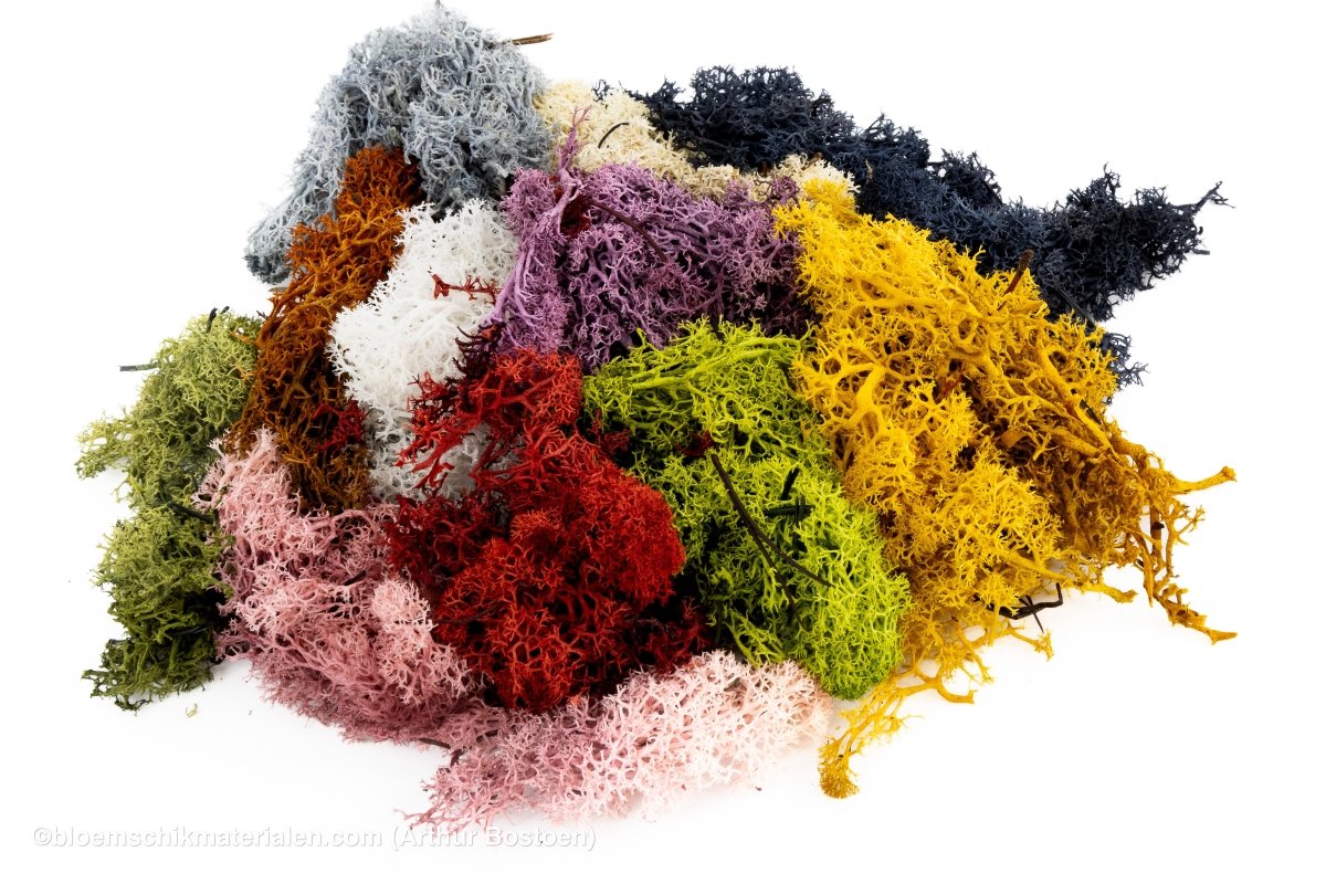 IJSLANDS MOS ZWART +/ - 450GR - bloemschikmaterialen.com