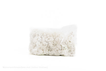 IJSLANDS MOS WIT +/-450GR