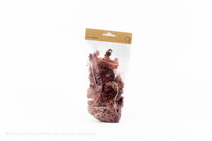 IJSLANDS MOS POEDERROOS +/-50GR