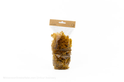 IJSLANDS MOS COGNAC +/-50GR