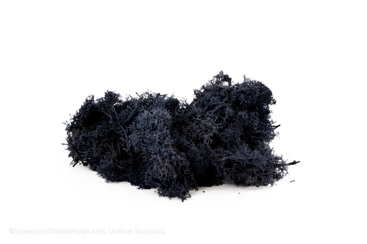 IJSLANDS MOS ZWART +/-50GR