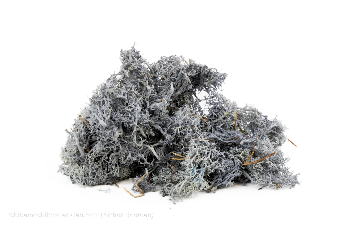 IJSLANDS MOS GRIJS +/-50GR