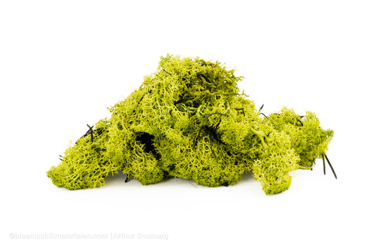 IJSLANDS MOS APPELGROEN +/-50GR