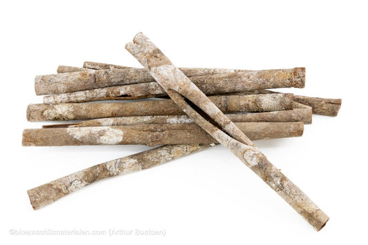 KANEEL WILD 20CM NATUREL +/-100GR - bloemschikmaterialen.com