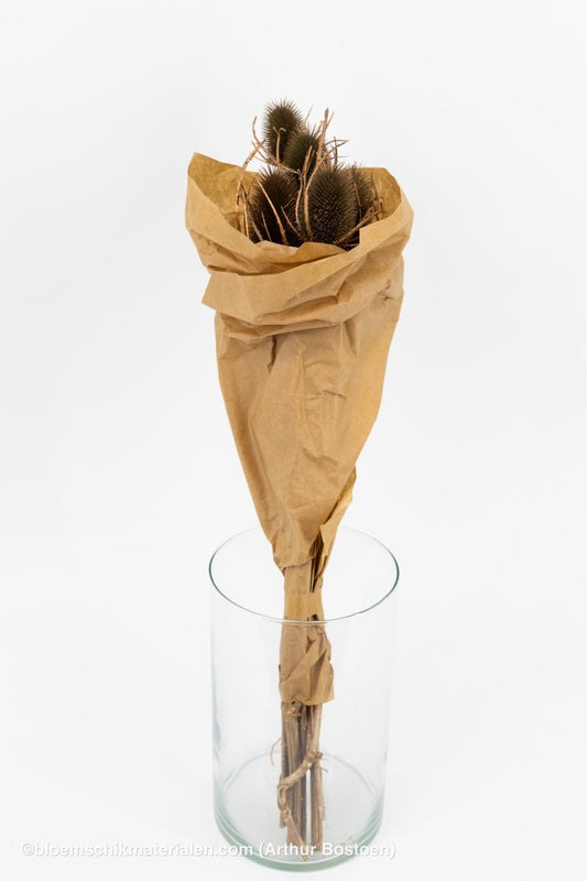 KARDOEN DISTEL KOPER - bloemschikmaterialen.com