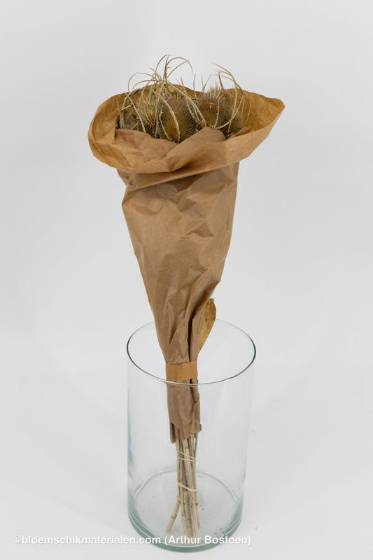 KARDOEN DISTEL NATUREL 10ST - bloemschikmaterialen.com