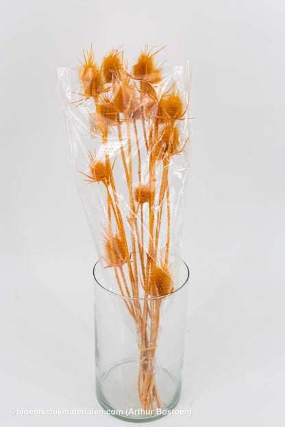 KARDOEN DISTEL ORANJE - bloemschikmaterialen.com