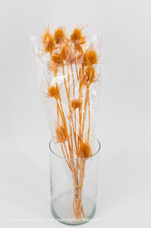 KARDOEN DISTEL ORANJE - bloemschikmaterialen.com