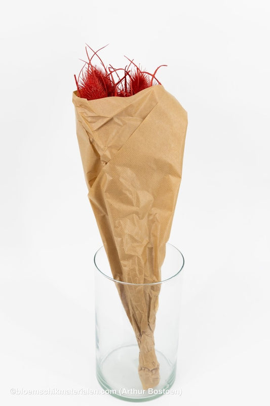 KARDOEN DISTEL ROOD - bloemschikmaterialen.com