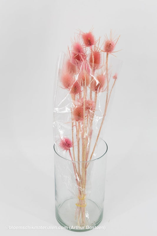 KARDOEN DISTEL ROZE - bloemschikmaterialen.com