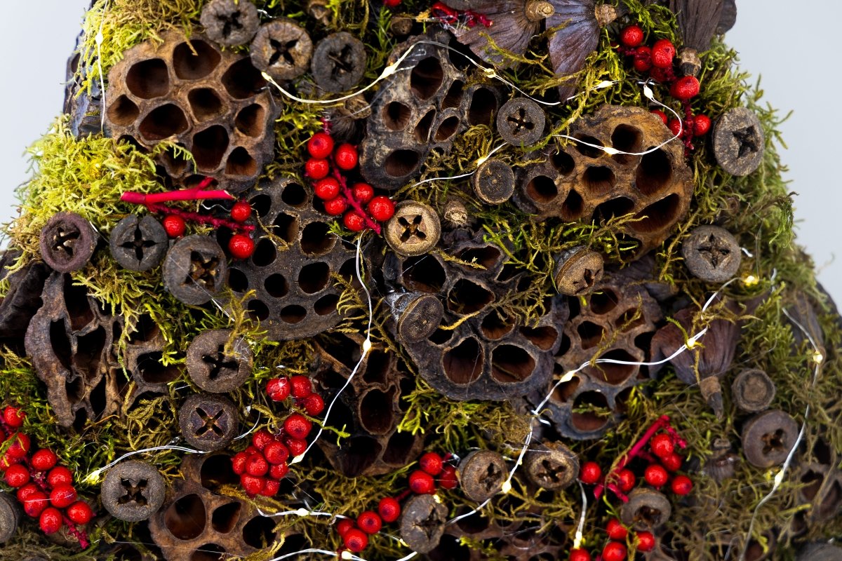 Kerstboom met eucalyptus & canella (Pakket) - bloemschikmaterialen.com