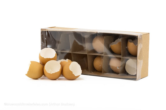 KIPPENEIEREN BRUIN OPEN 12ST - bloemschikmaterialen.com