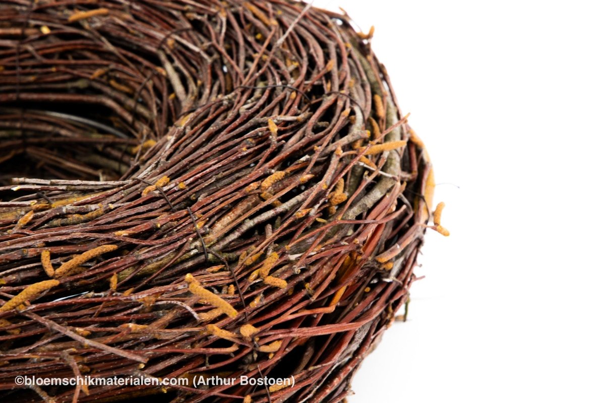 KRANS BERK 10/35CM (dunne takken) - bloemschikmaterialen.com