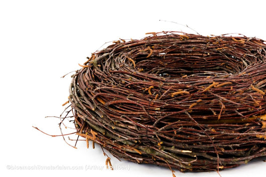 KRANS BERK 10/35CM (dunne takken) - bloemschikmaterialen.com