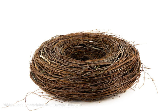 KRANS BERK 15/50CM (dunne takken) - bloemschikmaterialen.com