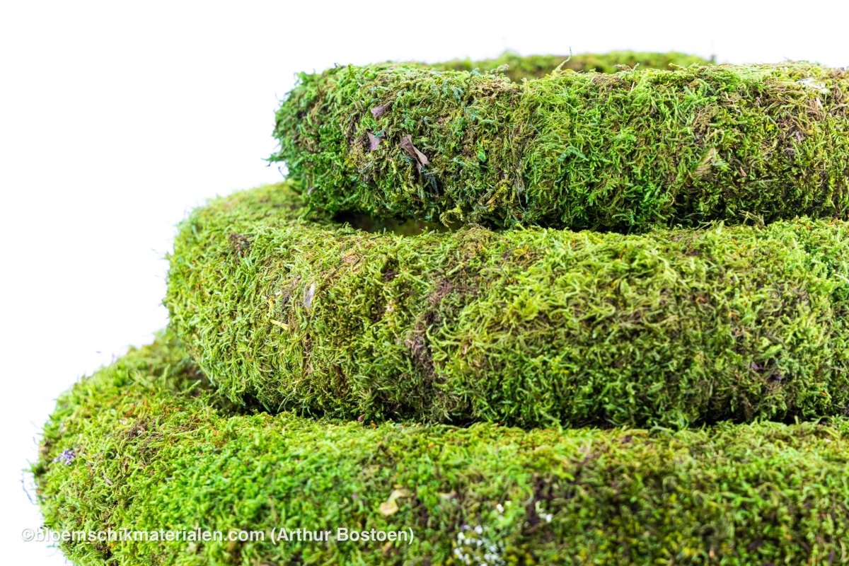 KRANS GECONSERVEERD GROEN MOS 30CM - bloemschikmaterialen.com