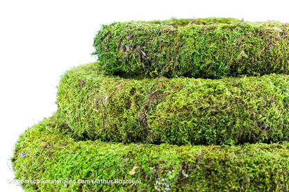 KRANS GECONSERVEERD GROEN MOS 40CM - bloemschikmaterialen.com