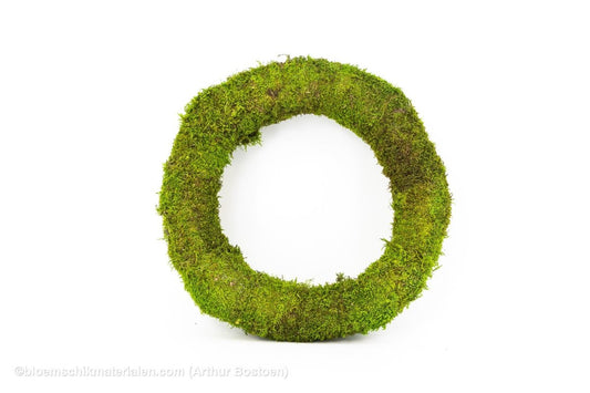 KRANS GECONSERVEERD GROEN MOS 50CM - bloemschikmaterialen.com