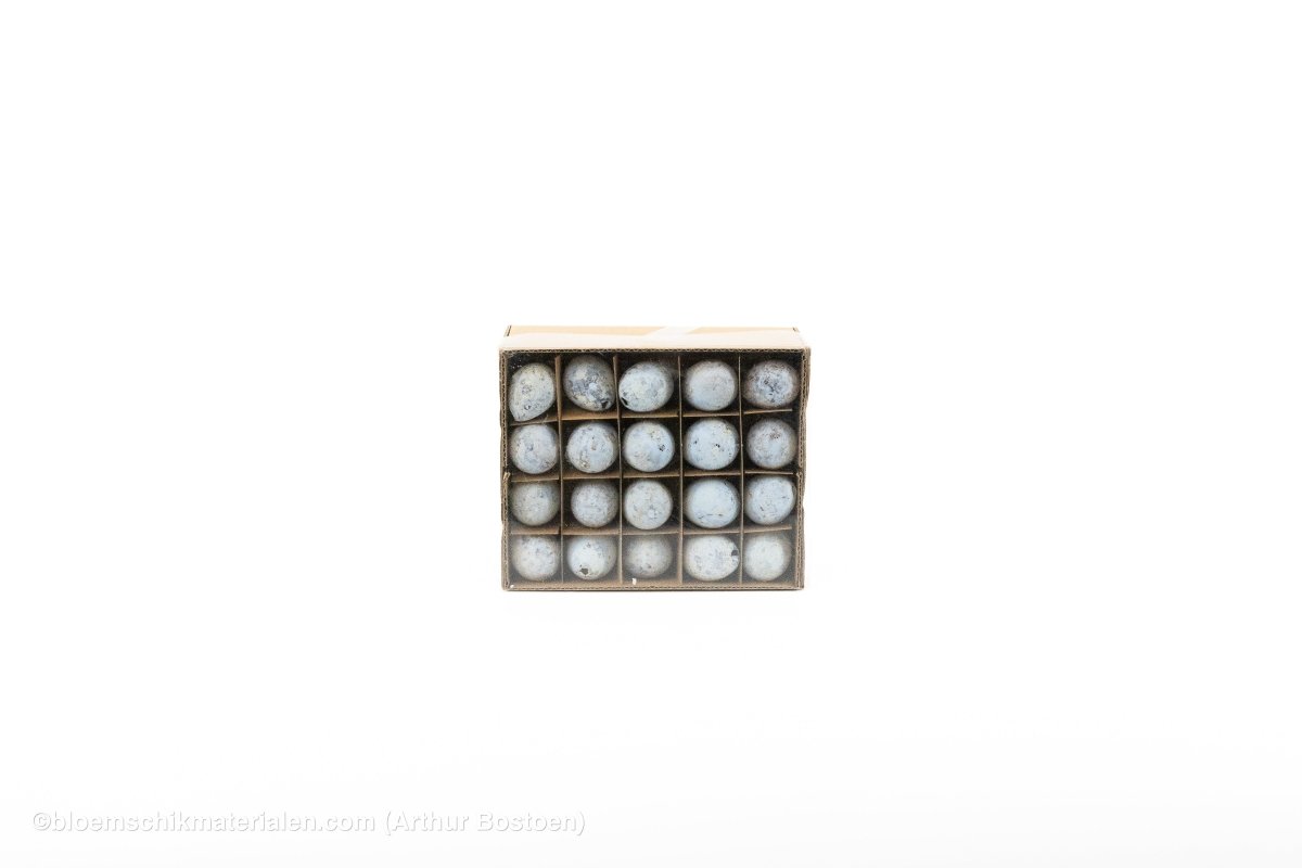 KWARTELEIEREN LICHTBLAUW 60ST - bloemschikmaterialen.com