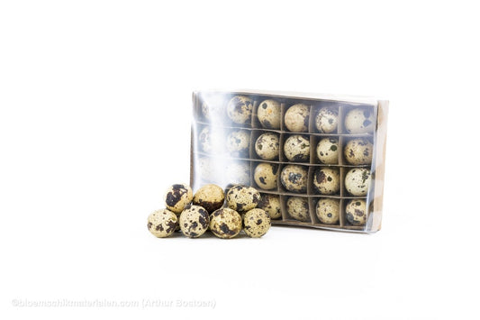 KWARTELEIEREN NATUREL 60ST - bloemschikmaterialen.com