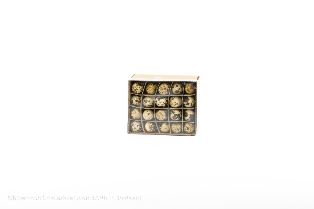 KWARTELEIEREN NATUREL 60ST - bloemschikmaterialen.com