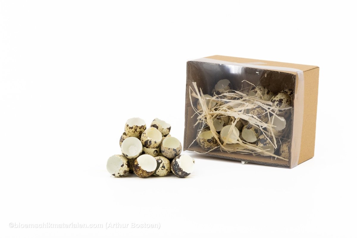 KWARTELEIEREN OPEN 60ST - bloemschikmaterialen.com