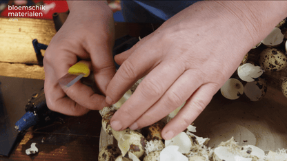 Kwarteleikrans met Houten Schaal (30cm Ø) - bloemschikmaterialen.com