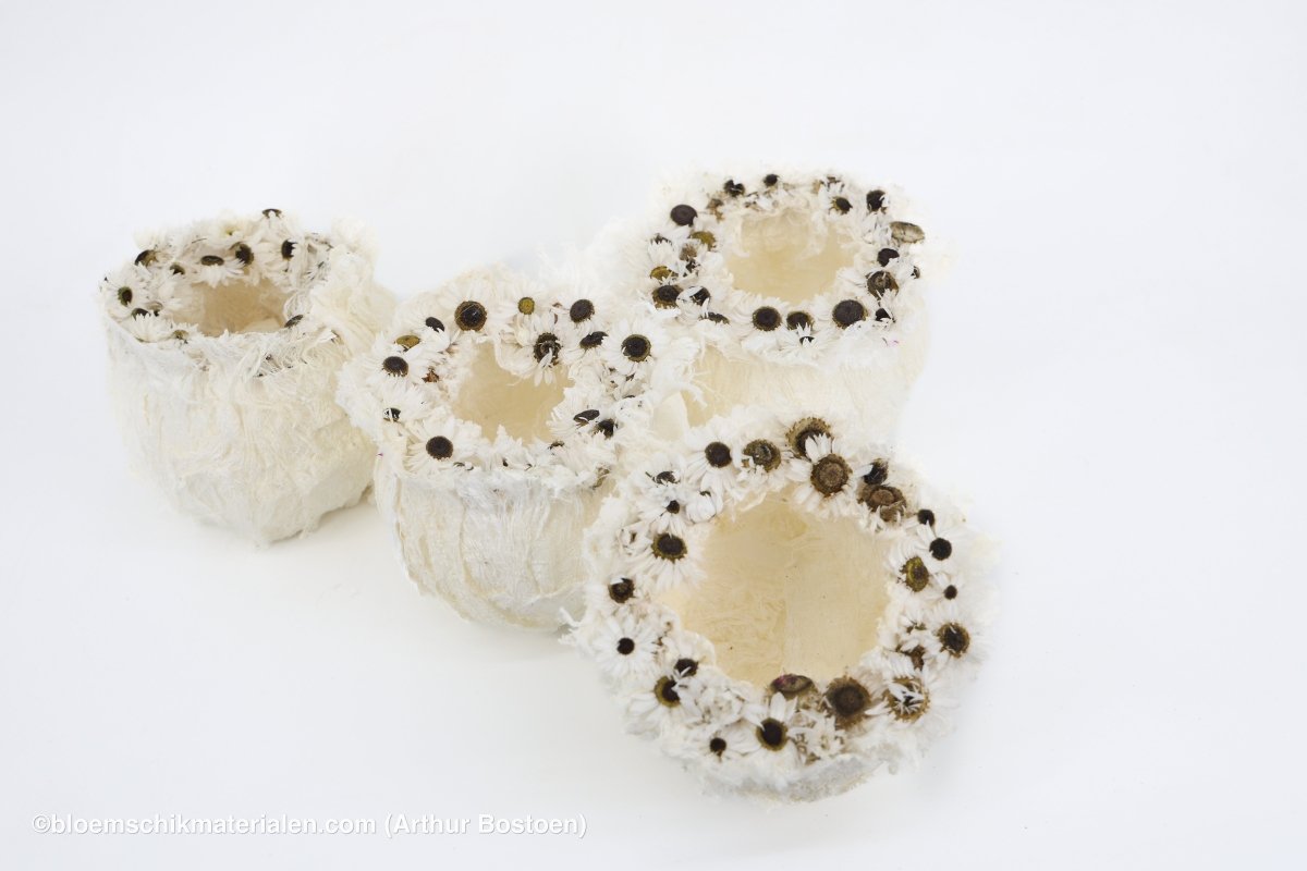 Kwartet Cocons van Moerbeischors (± 15 cm Ø) - bloemschikmaterialen.com