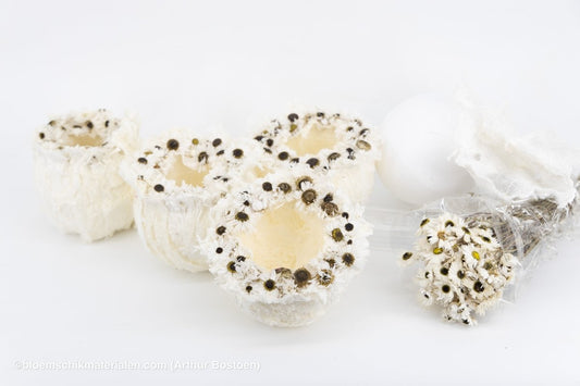 Kwartet Cocons van Moerbeischors (± 15 cm Ø) - bloemschikmaterialen.com