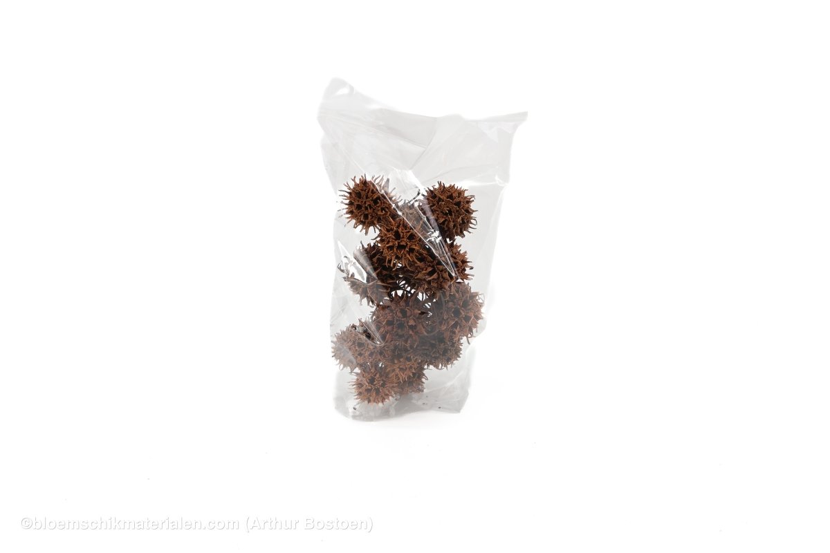 LIQUIDAMBAR (AMBERBAUM) NATUREL +/ - 40GR - bloemschikmaterialen.com