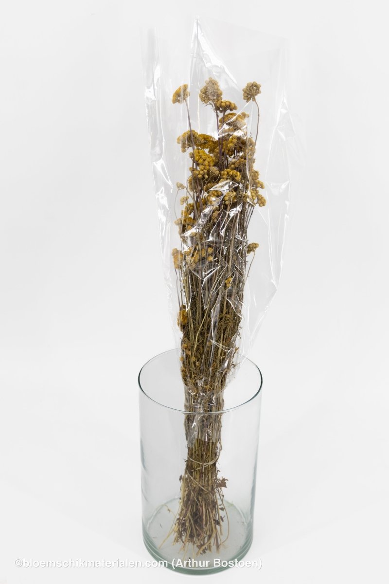 LONA NATUREL - bloemschikmaterialen.com