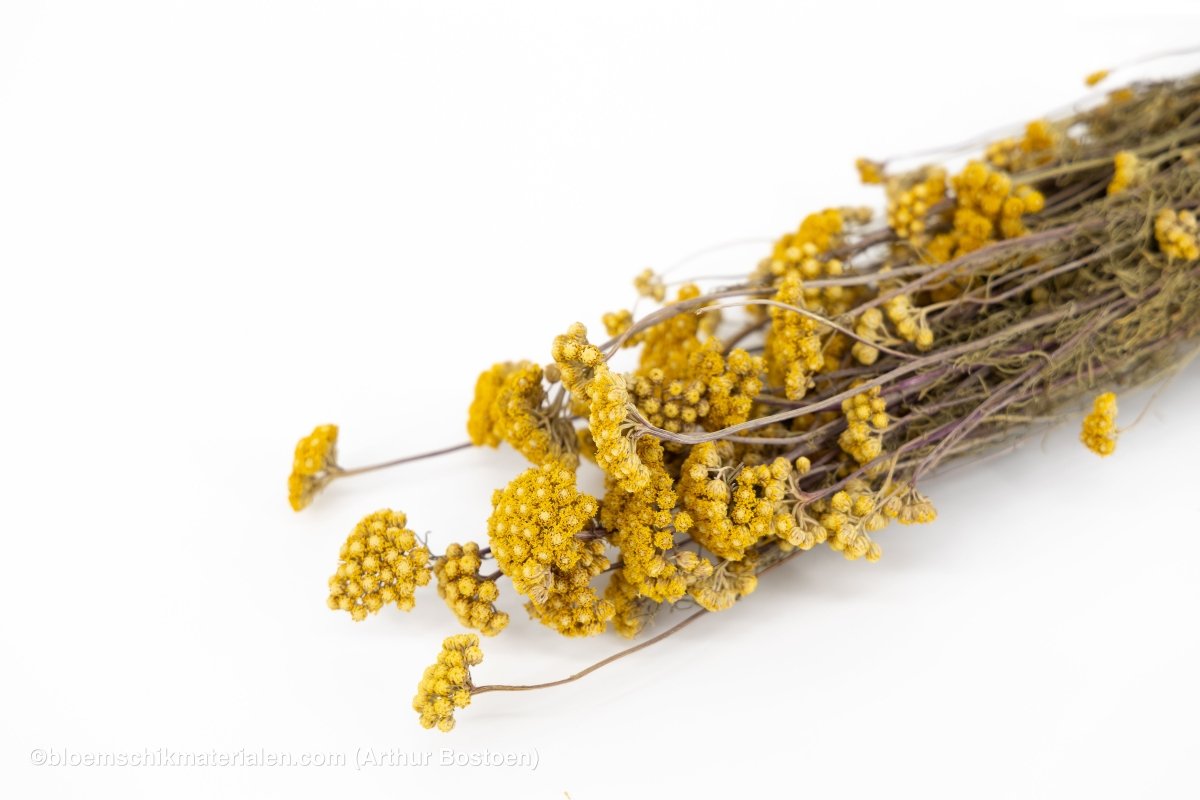 LONA NATUREL - bloemschikmaterialen.com