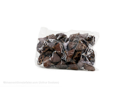 LOTUS MEDIUM NATUREL 50ST - bloemschikmaterialen.com