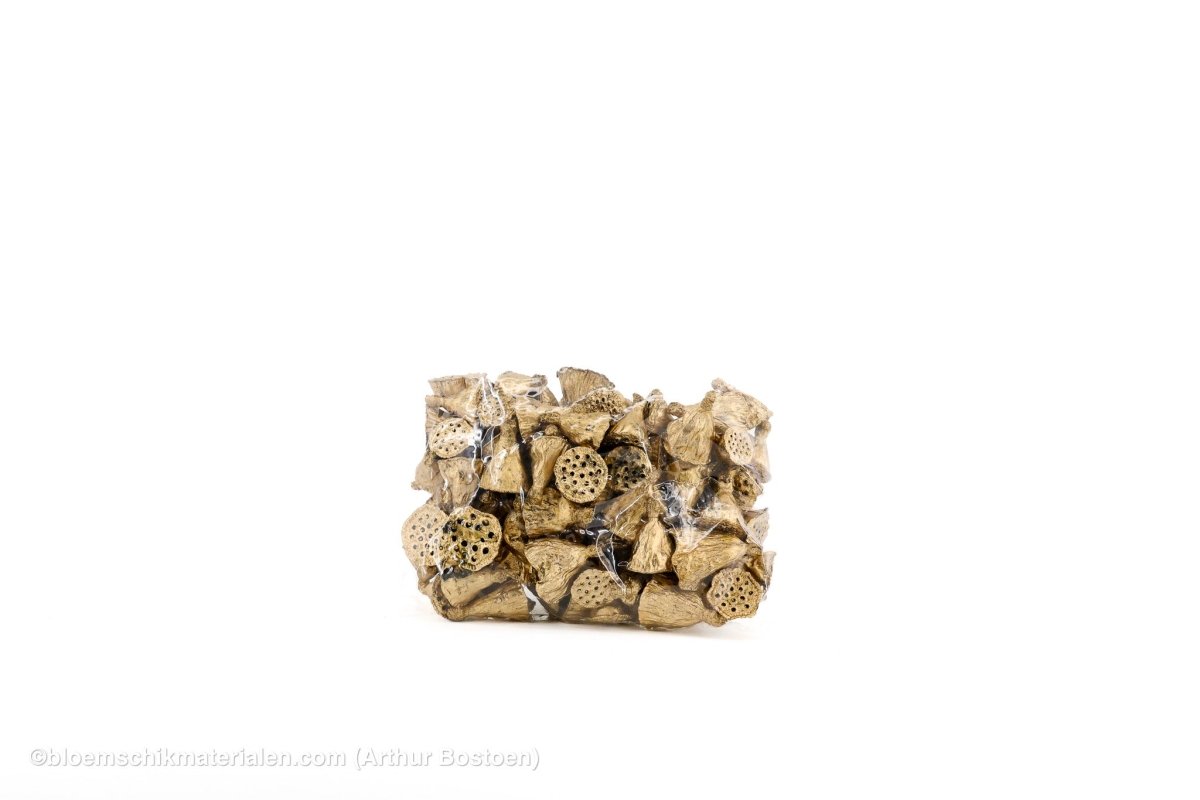 LOTUS MINI GOUD 100ST - bloemschikmaterialen.com