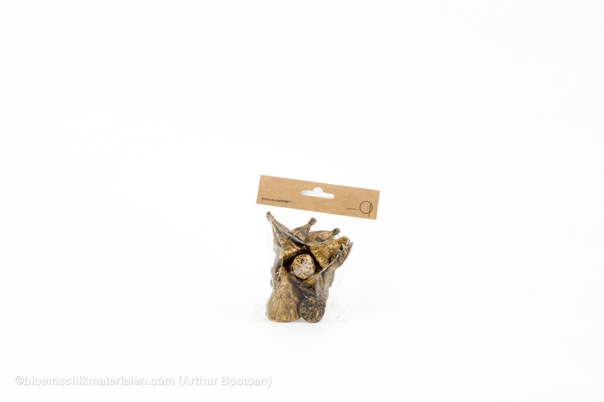 LOTUS MINI GOUD 20ST - bloemschikmaterialen.com