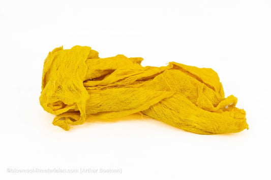 MOERBEISCHORS GEEL +/ - 200GR - bloemschikmaterialen.com