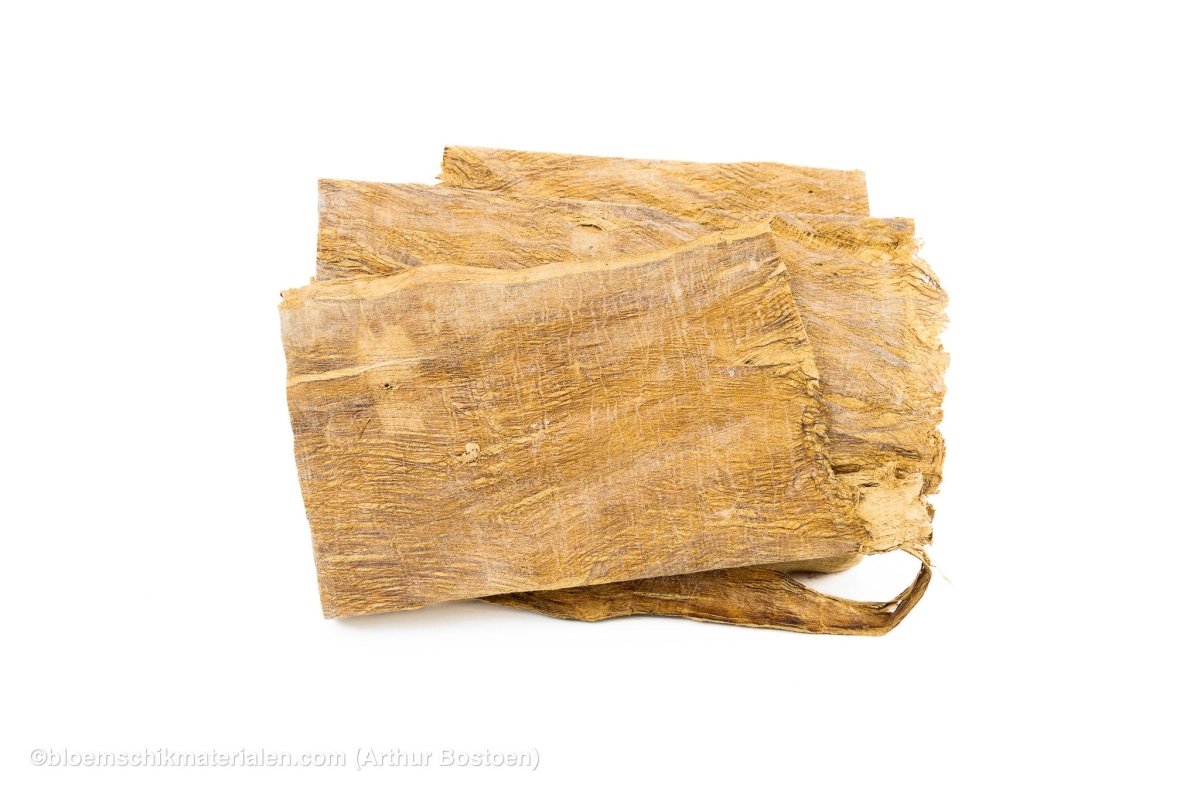 MOERBEISCHORS NATUREL +/ - 200GR - bloemschikmaterialen.com